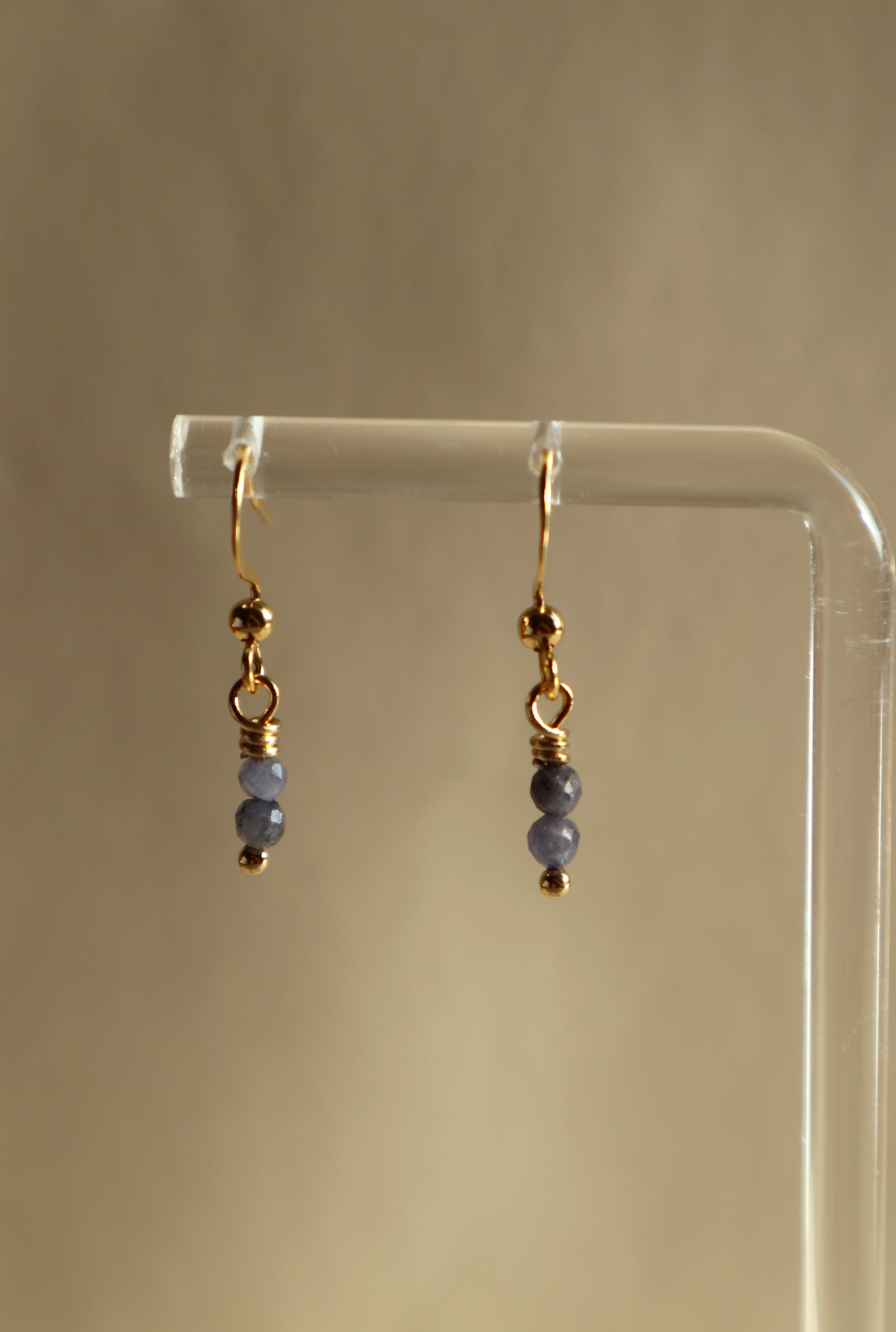 Gold Plated Stainless Steel Birthstone Earrings