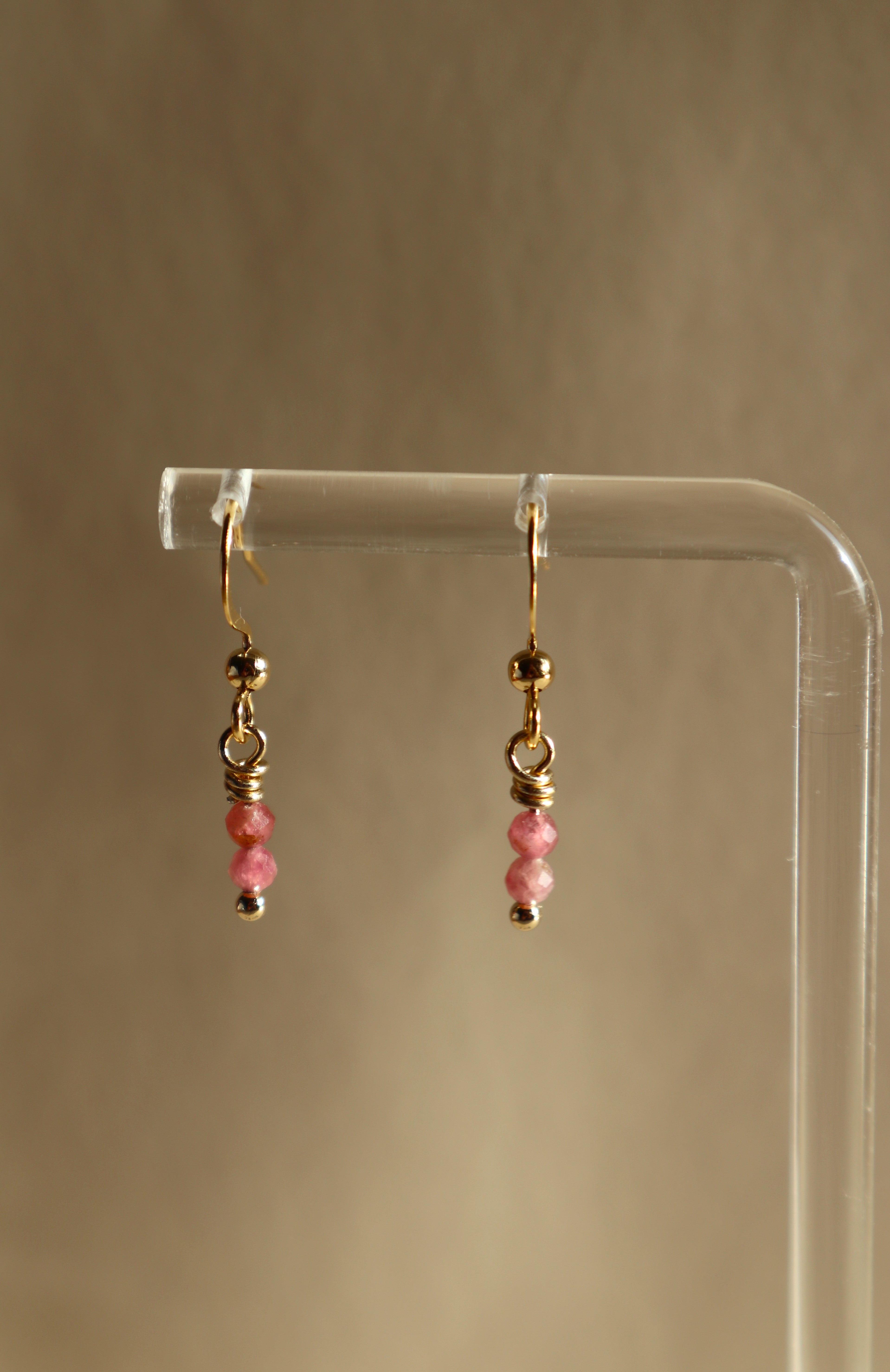 Gold Plated Stainless Steel Birthstone Earrings