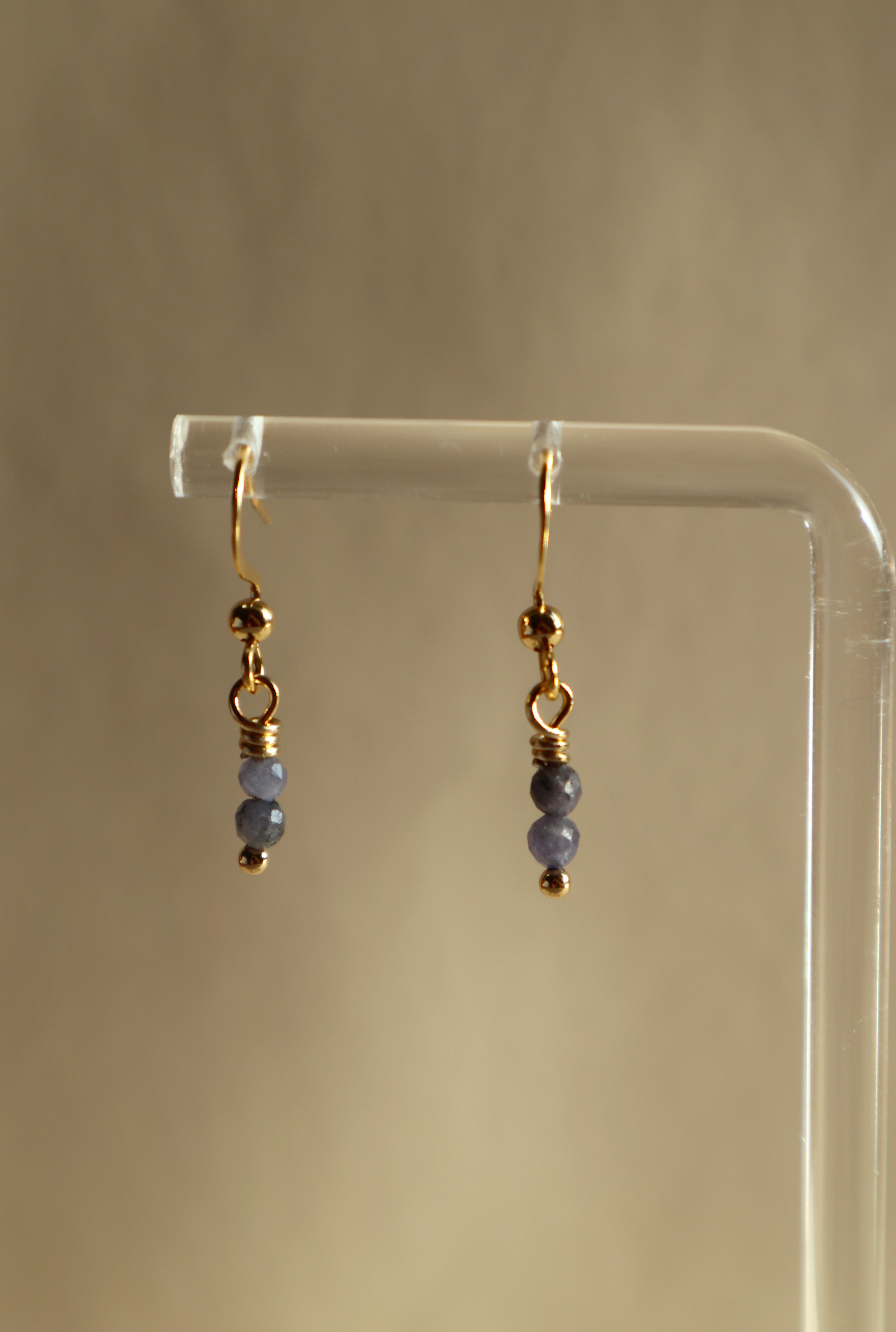 Gold Plated Stainless Steel Birthstone Earrings