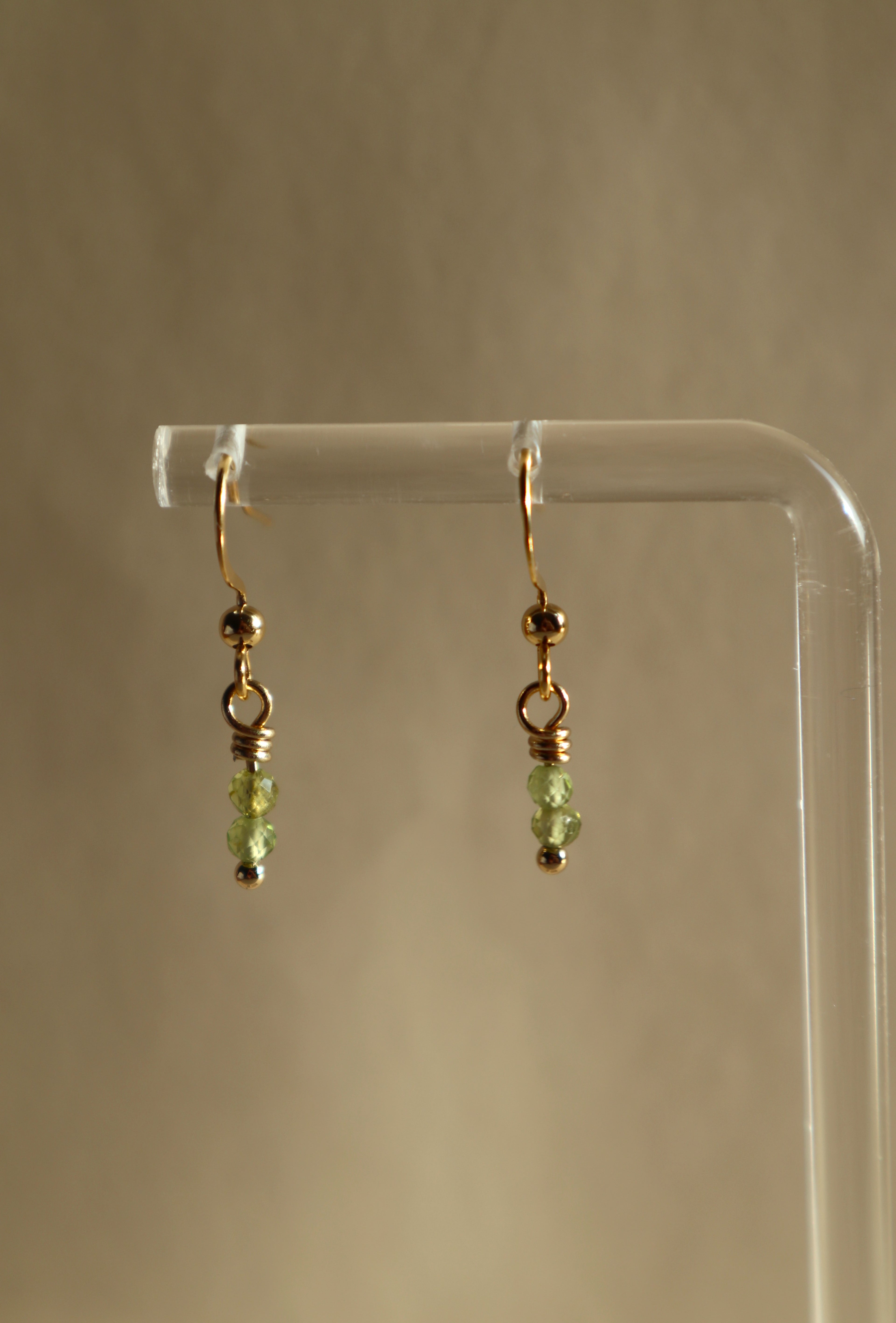 Gold Plated Stainless Steel Birthstone Earrings