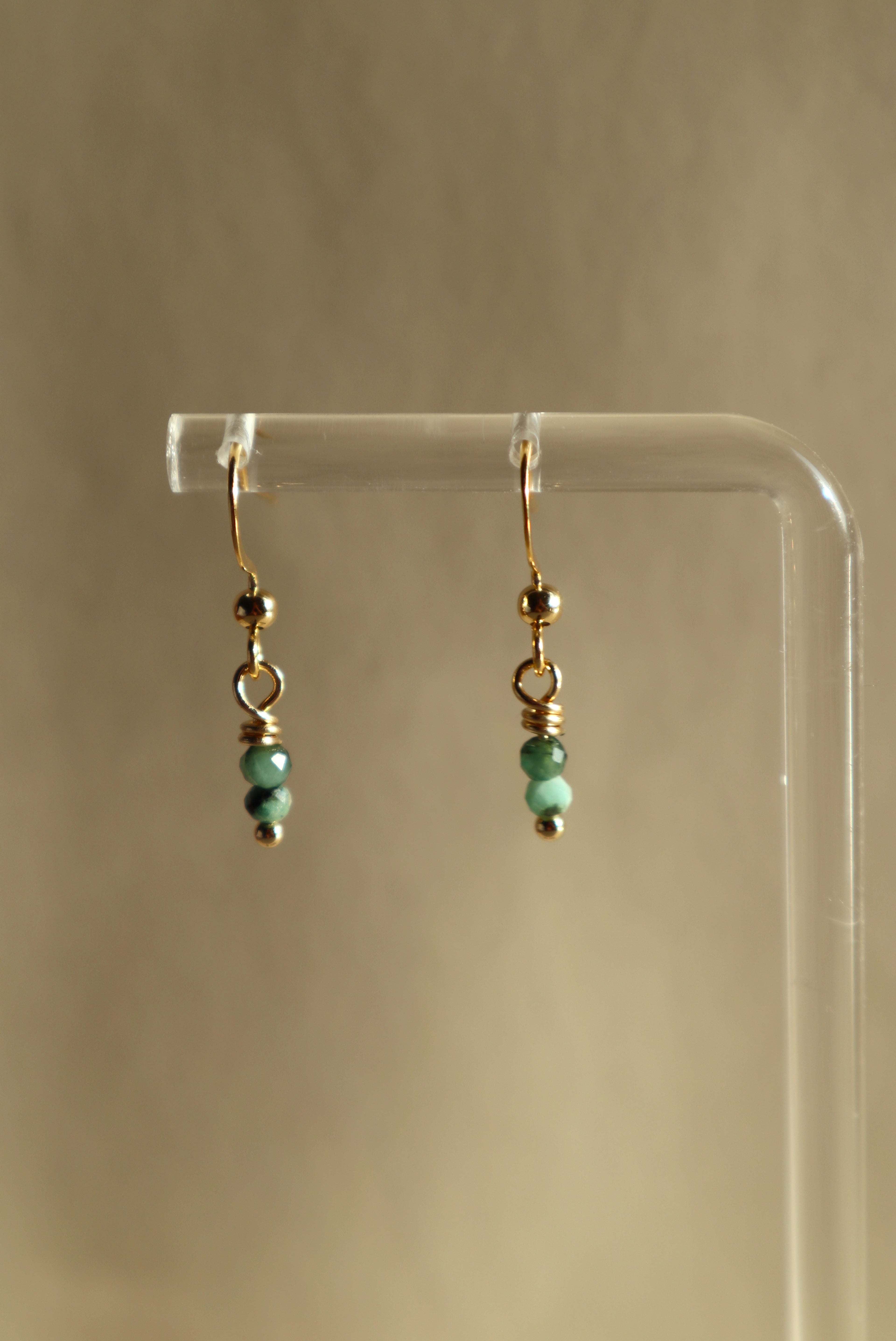 Gold Plated Stainless Steel Birthstone Earrings