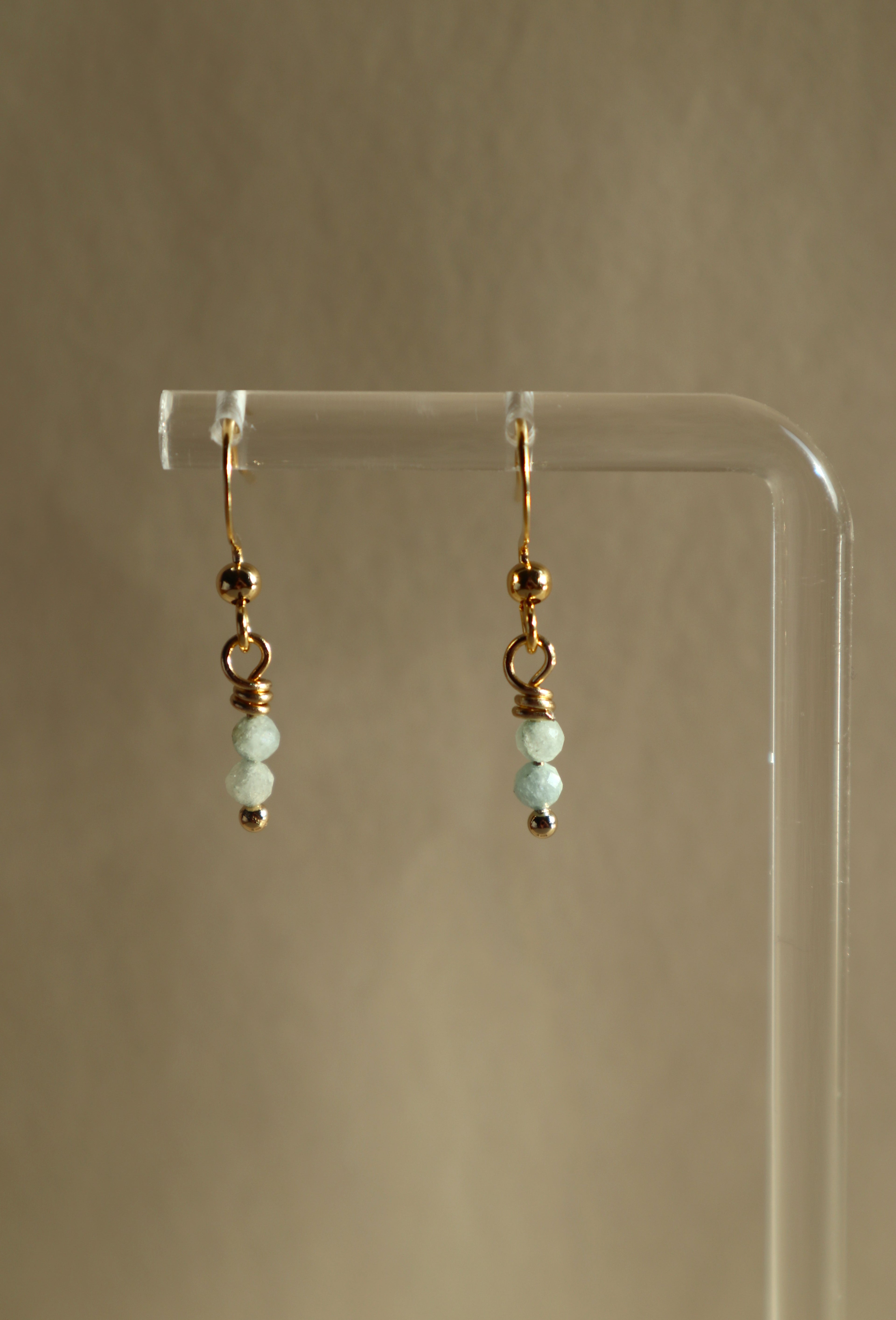 Gold Plated Stainless Steel Birthstone Earrings