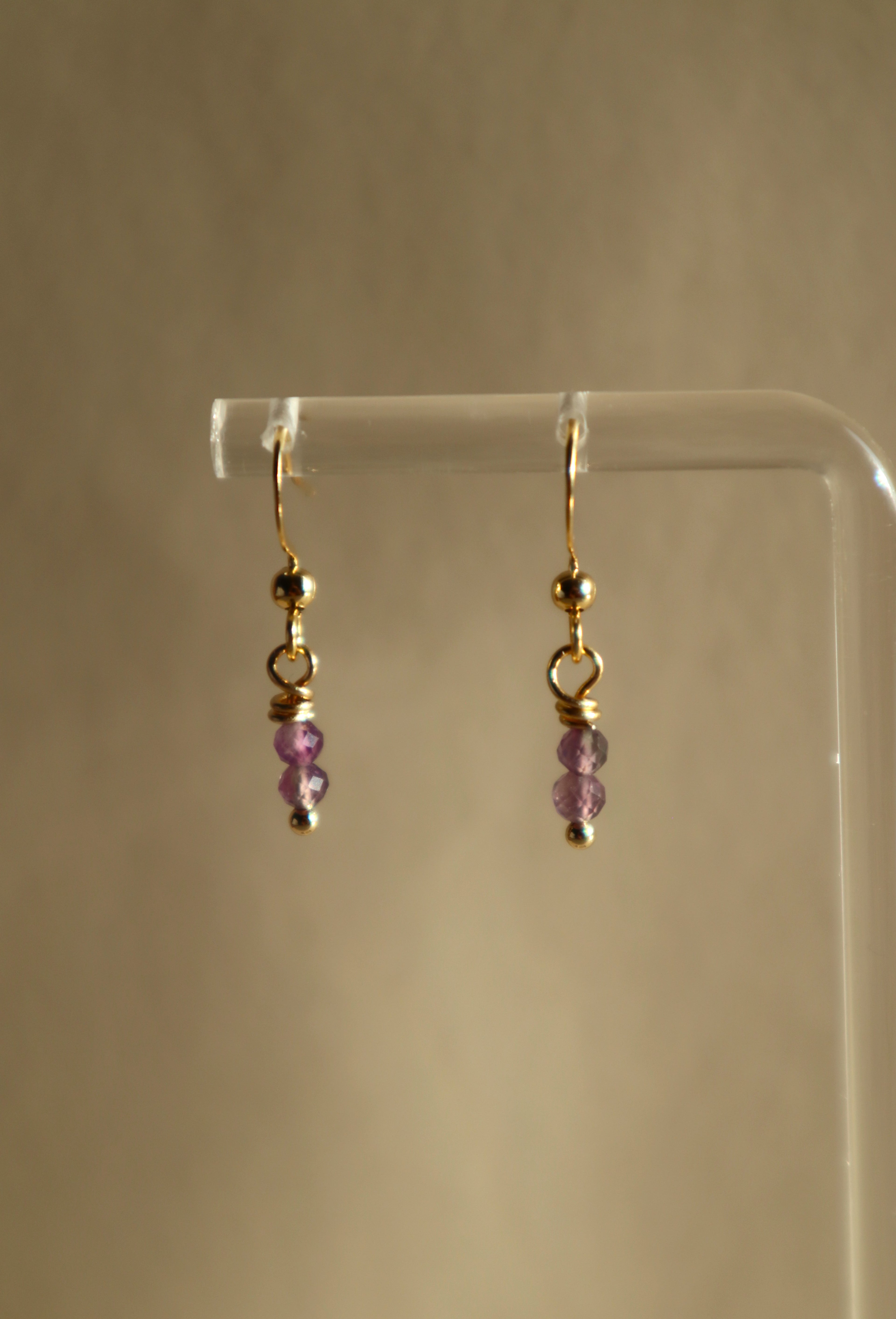 Gold Plated Stainless Steel Birthstone Earrings