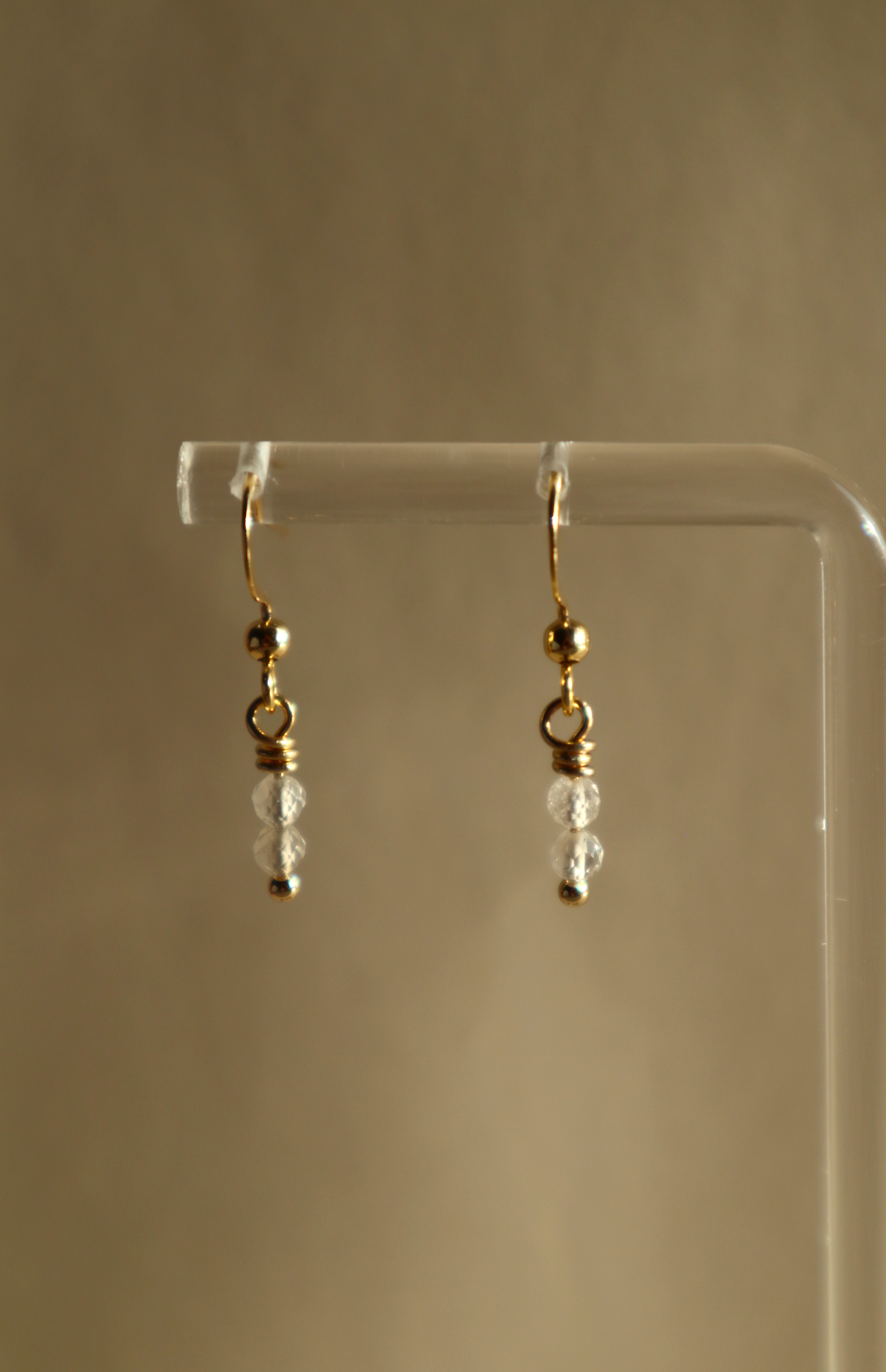 Gold Plated Stainless Steel Birthstone Earrings