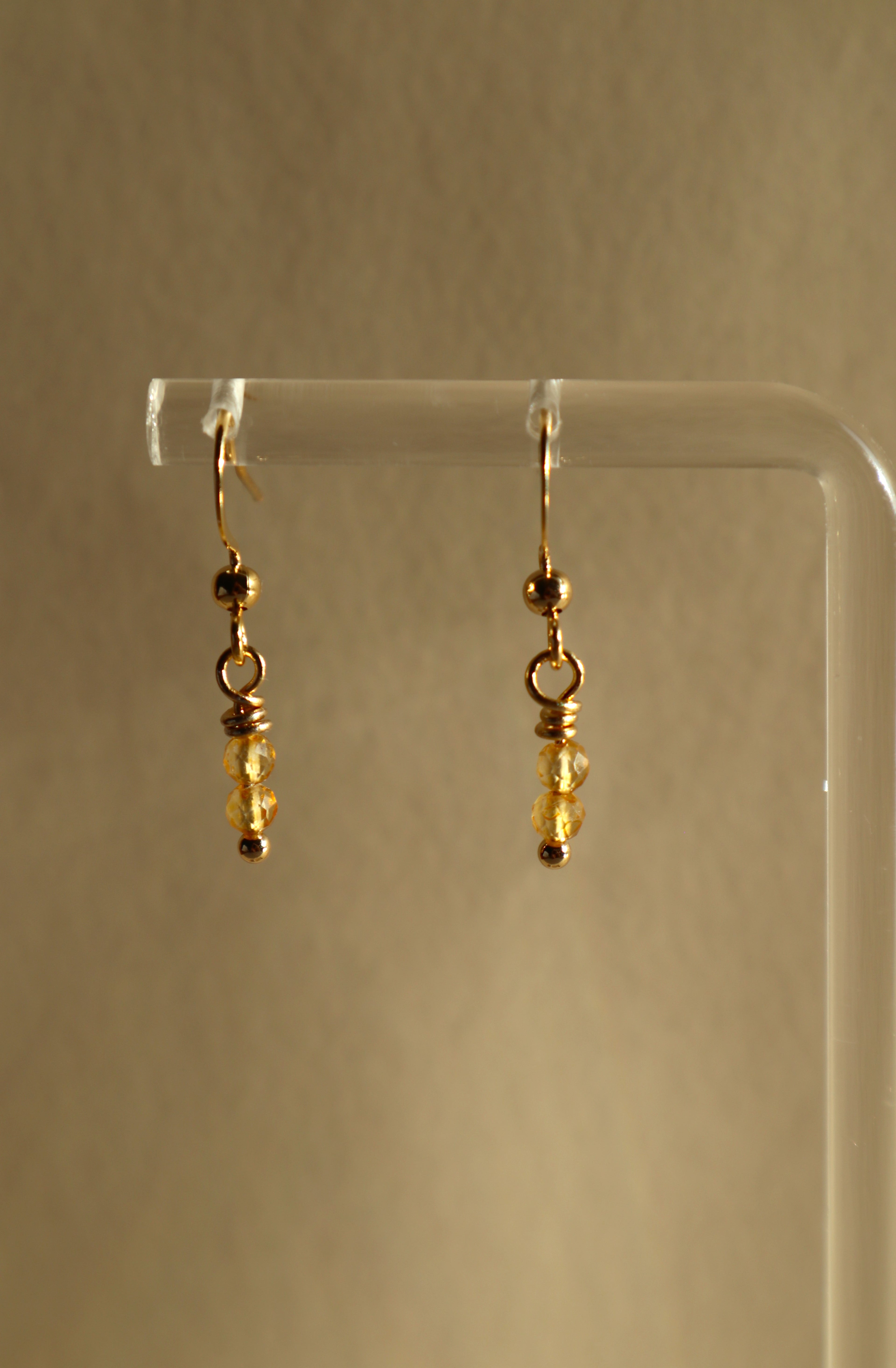 Gold Plated Stainless Steel Birthstone Earrings