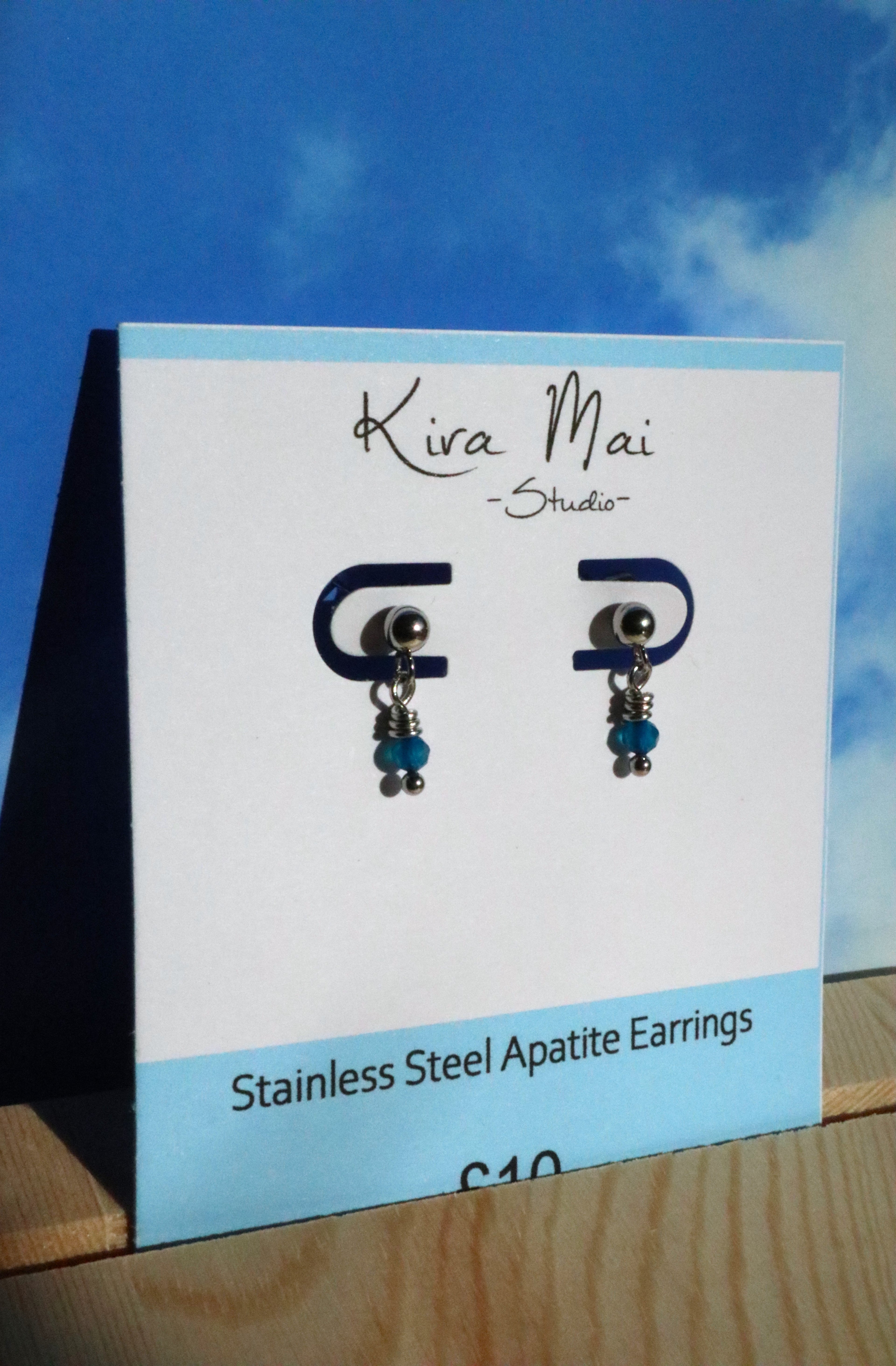 Stainless Steel Dainty Gemstone Earrings