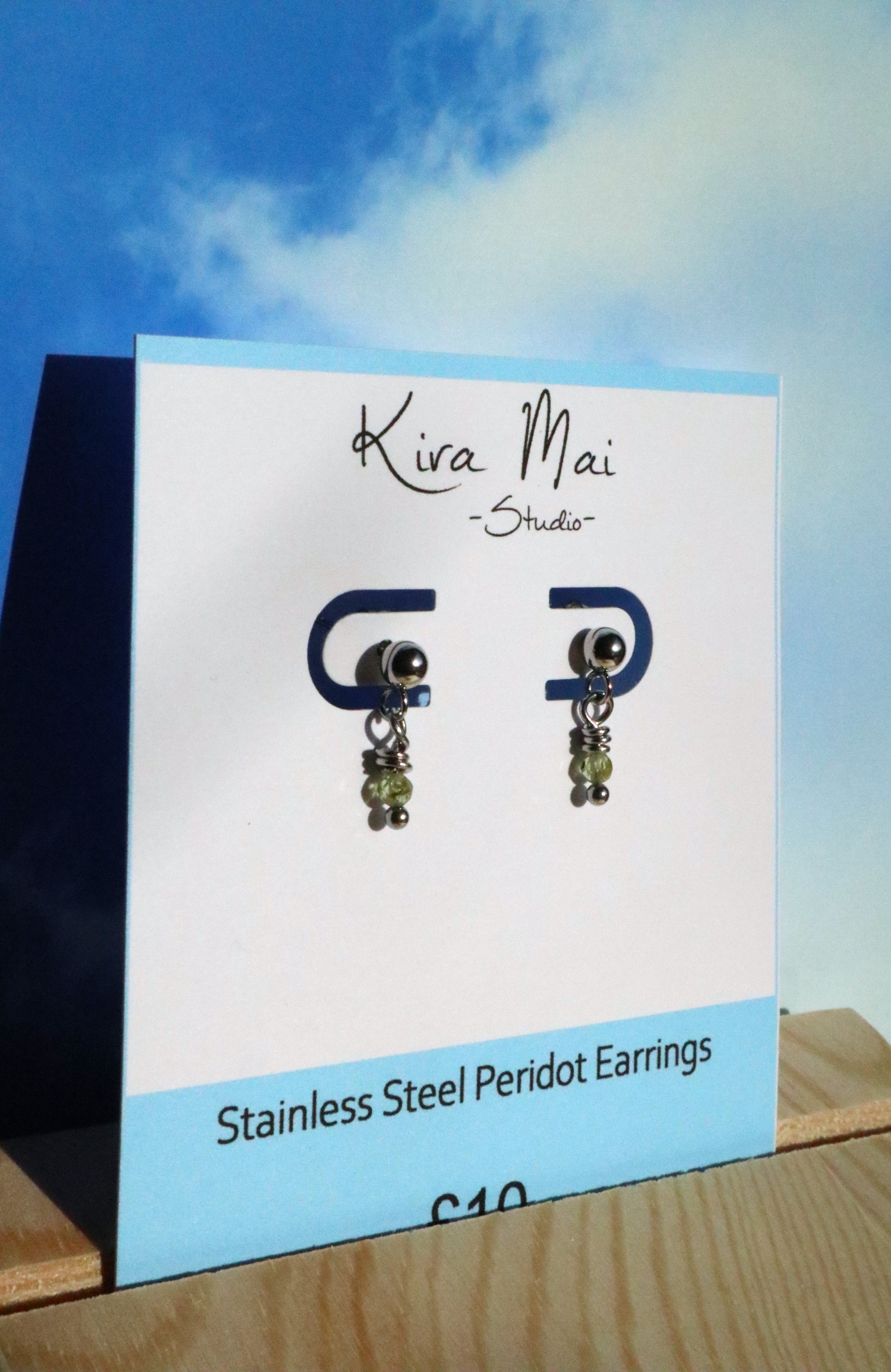 Stainless Steel Dainty Gemstone Earrings